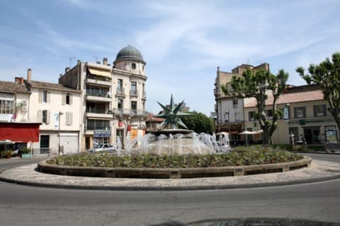 Élagueur Cavaillon