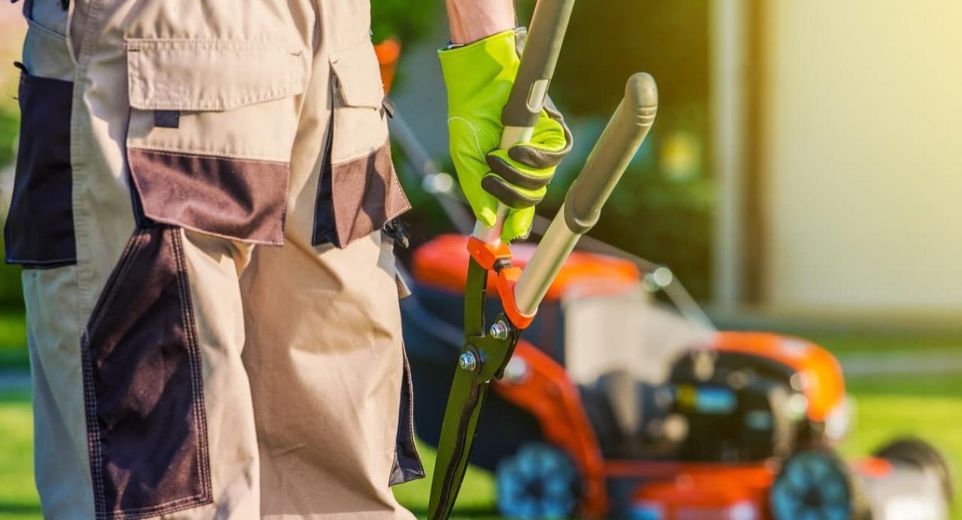 Paysagiste - Création de jardins & plantations Vaucluse